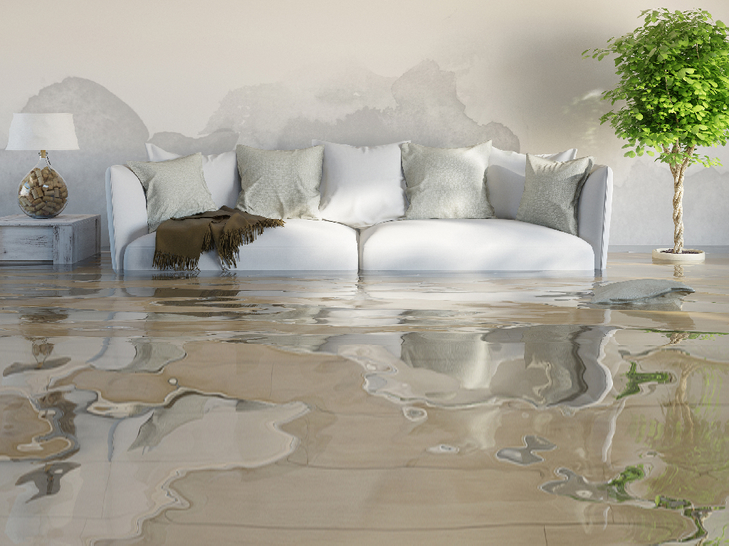 Water-Damage-Repair