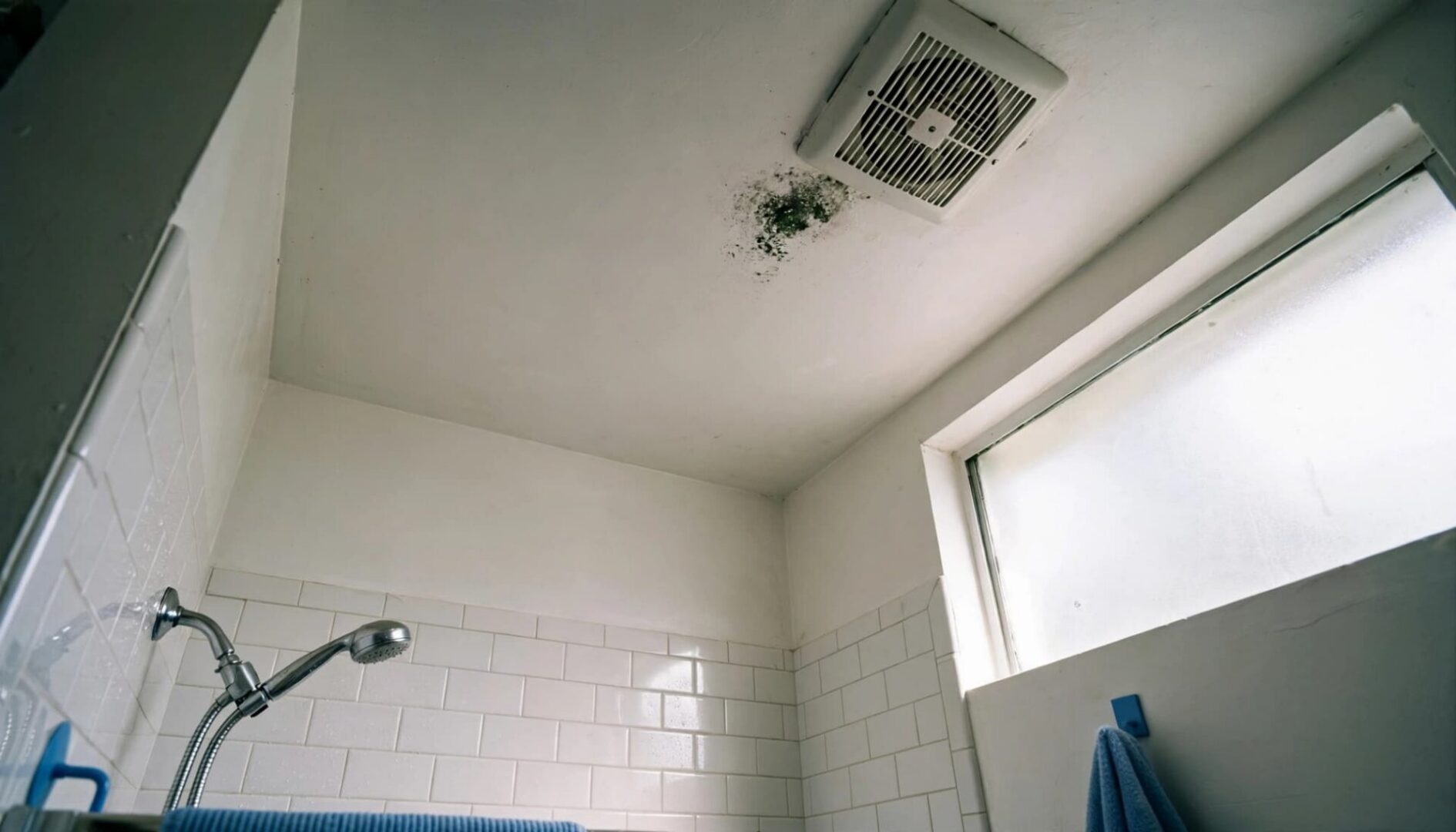 A bathroom ceiling showing a patch of dark mold near an exhaust vent, with a frosted window and shower.