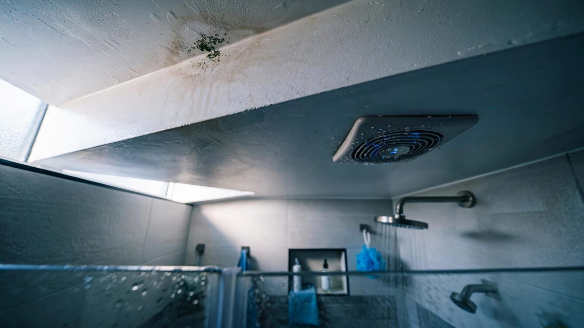 bathroom ceiling mold